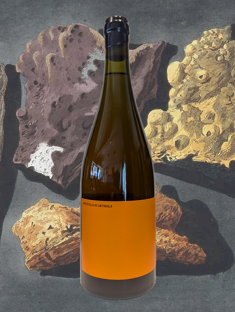 A bottle of Aristotelis Ke Anthoula 'Mandarin' Skin Contact Fiano 2024 from Gundagai, NSW - Rich in flavour with texture to match, this Orange wine spent over 6 months on skins but it never outstays its welcome.