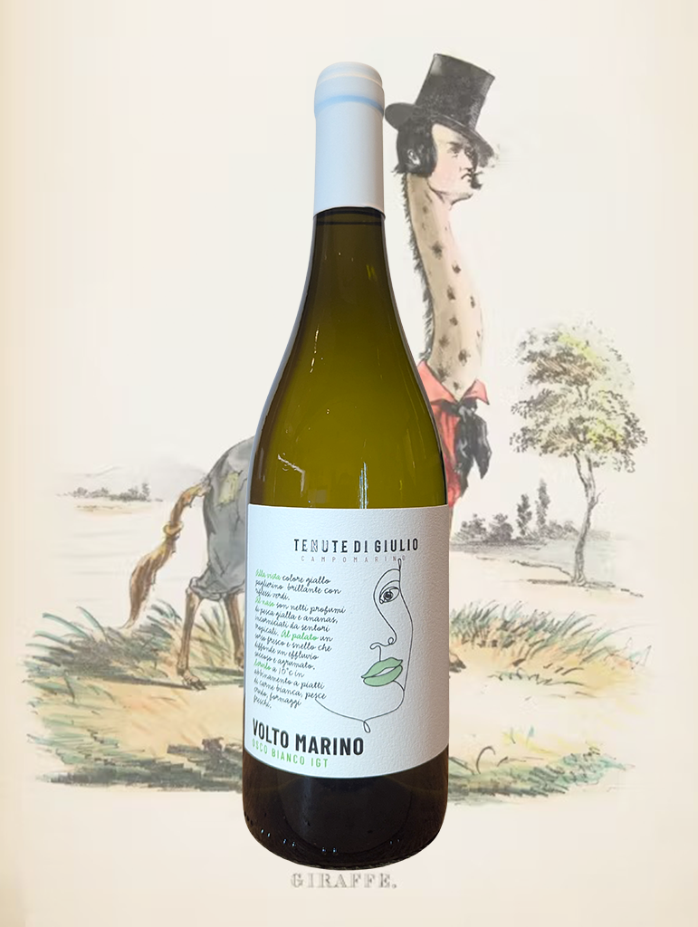 A bottle of Di Giulio 'Volto Marino' Osco Bianco 2024 from Molise, Italy - A fresh and savoury Trebbiano from Italy's secret Adriatic region of Molise!