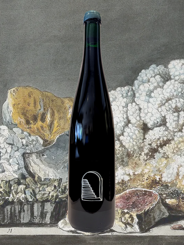 A bottle of Hopeless Thoughtful 'Rising Foam' Merlot 2023 from Manildra, NSW - A super light chilled Merlot from Manildra, by way of Hamish's garage in the 'Gong.