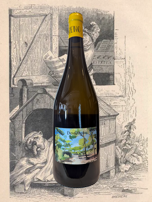 A bottle of Raul Moreno 'Destellos' Blanco 2024 from Jerez, Spain - Delicious Vino di Pasto from Sherry country!