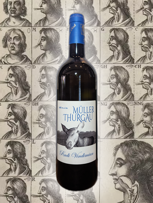 Rudi Vindimian Muller Thurgau 2020 | Trentino, Italy