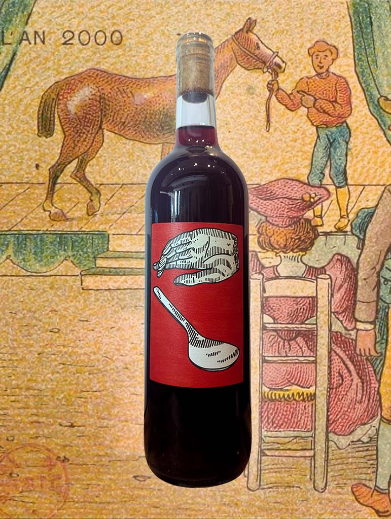 Bottle of Fin Wines ‘Yay!’ Pinot Noir 2024, set against a playful backdrop, reflecting the wine’s vibrant, chillable, and joyful character.