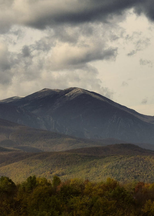 RARE BIRDS VII: NORTHERN GREECE | Wine Tasting, Sat 25th OCT