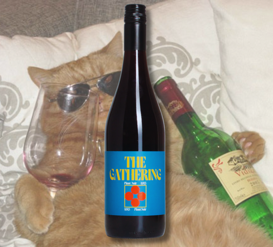 A bottle of The Gathering Pinot Noir. A photo of a cat with a glass of wine in the background.