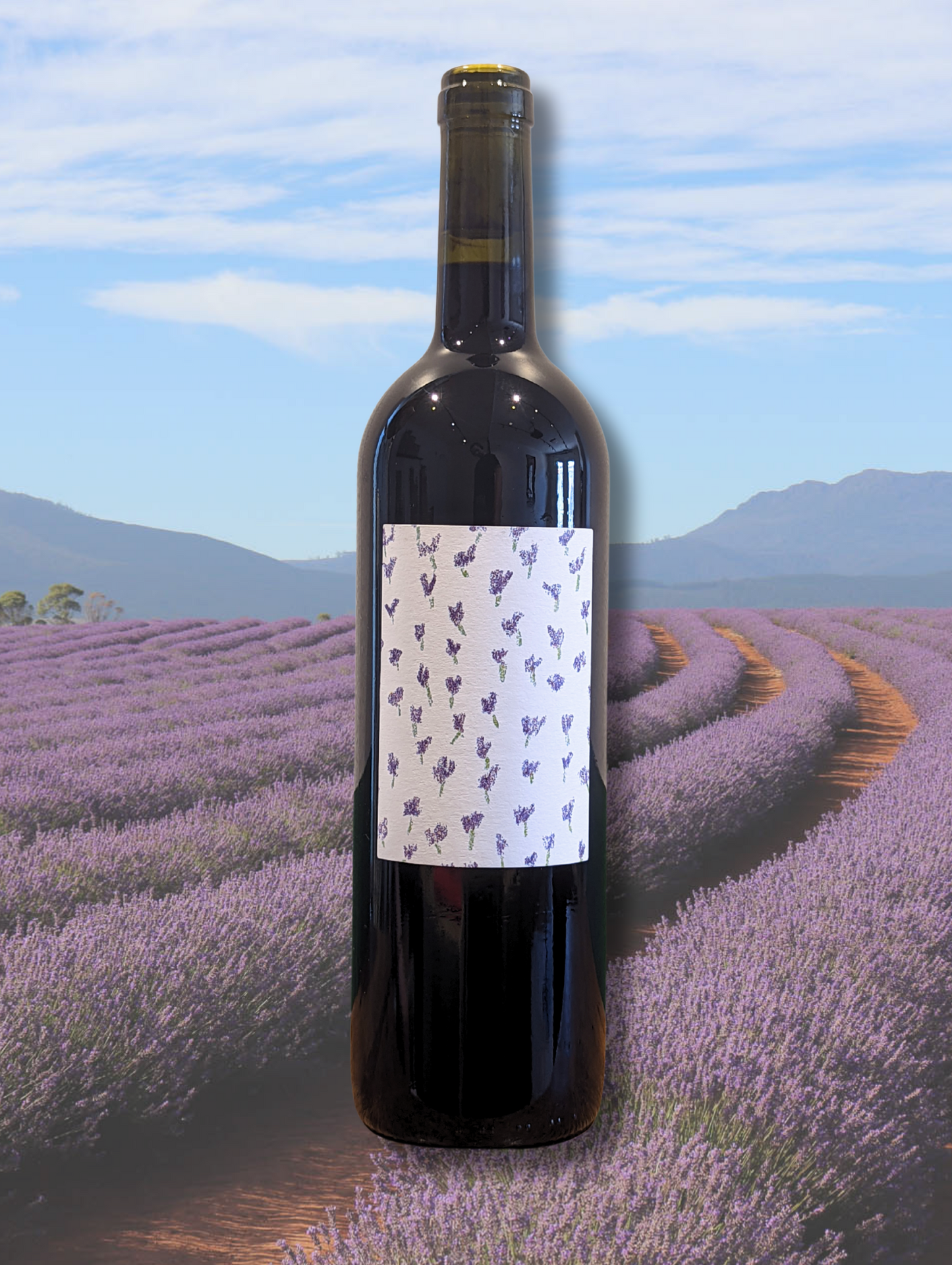Bottle of Vita Pinot Noir 2023 set against a backdrop of lavender fields. Certified organic Pinot from North Canterbury with no additions, floral finesse, and dark-fruited depth.