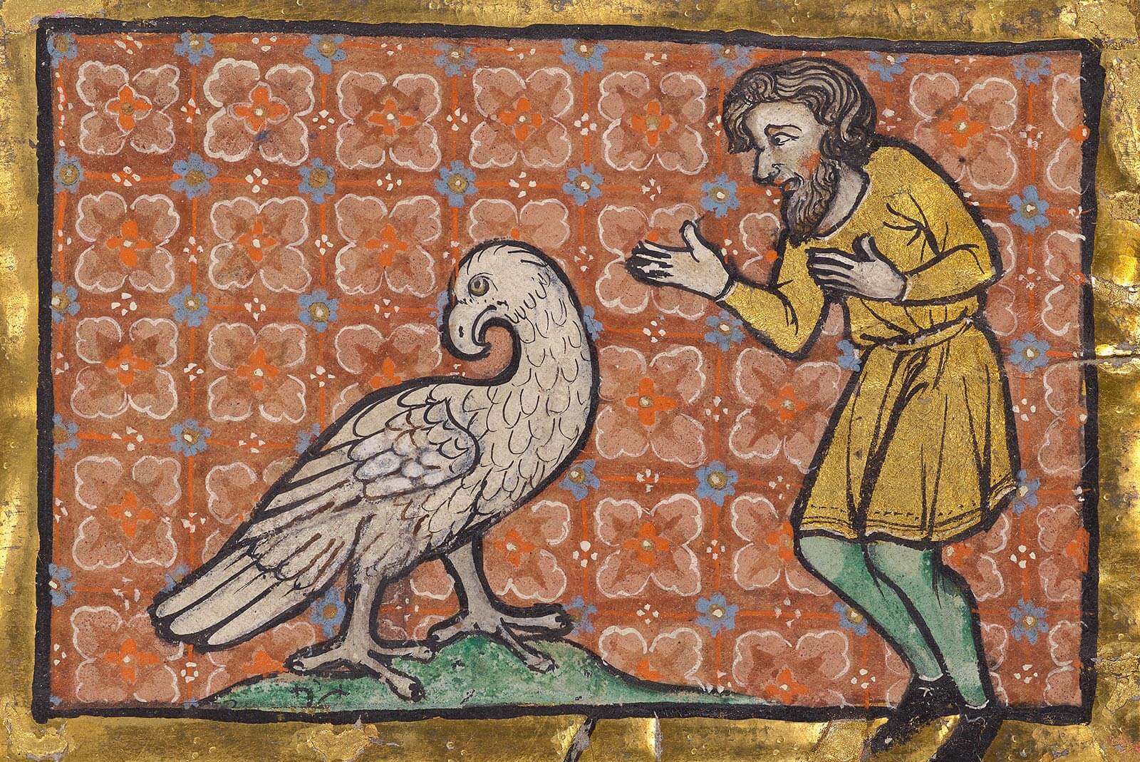 medieval bird love