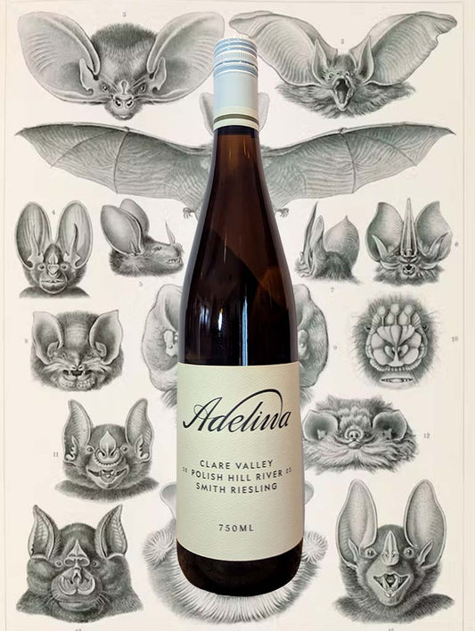 Adelina 'Smith Vineyard' Riesling 2023 from Clare Valley, SA - A lime rich, with intense citrus fruit flavours, supported by a near cutting crystalline minerality, floral hints, plenty of spice, and a sharp savoury note. 
