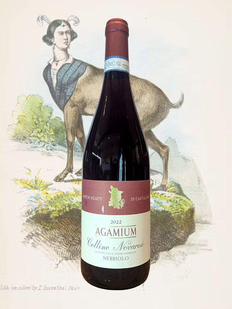A bottle of Antichi Vigneti di Cantalupo 'Agamium' Colline Novaresi 2022 from Alto-Piemonte, Italy - A delicate and elegantly pretty Nebbiolo from Alto-Piemonte. 