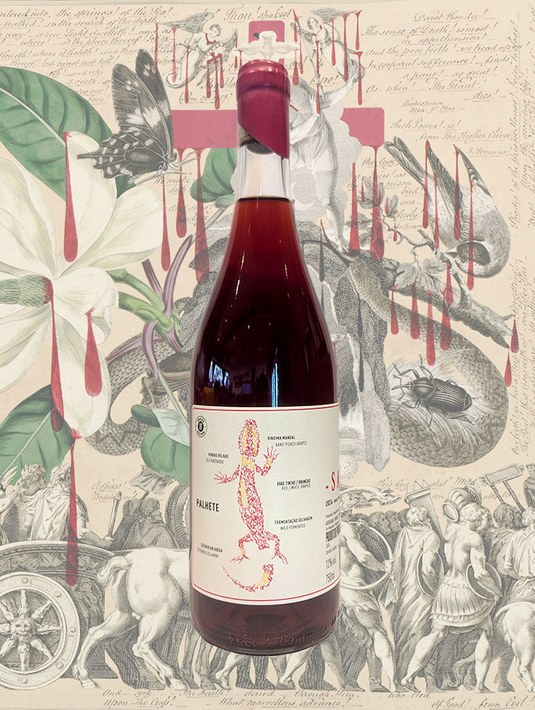 A bottle of Arribas Wine Company Saroto Palhete 2024 from Trás-os-Montes, Portugal