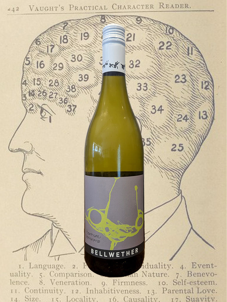 A bottle of Bellwether 'Ant Series' Vermentino 2026 from Heathcote
