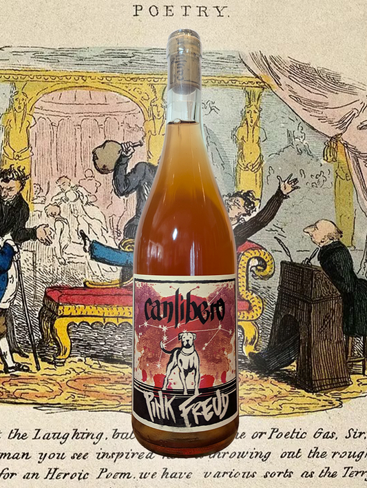A bottle of Canlibero 'Pink Freud' Rosato 2021 from Campania, Italy - A rich and fruity Aglianico rosato from the Italian south! 