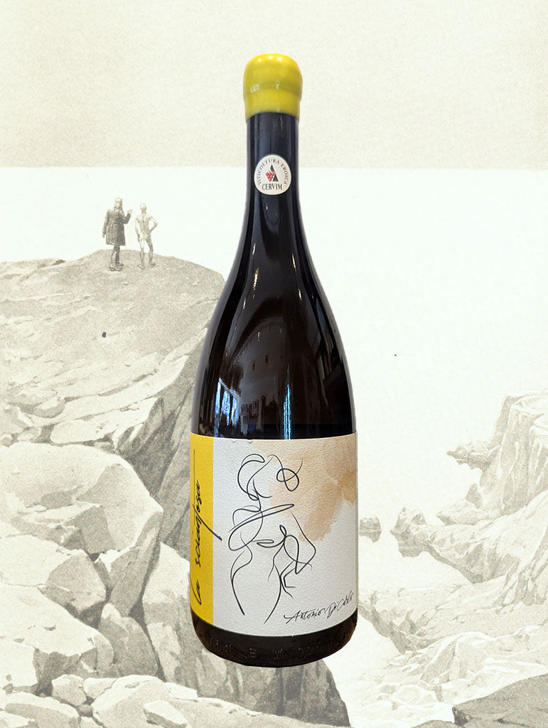 A bottle of Cantina Le Macchie 'La Sciantosa' Malvasia 2023 from Lazio, Italy