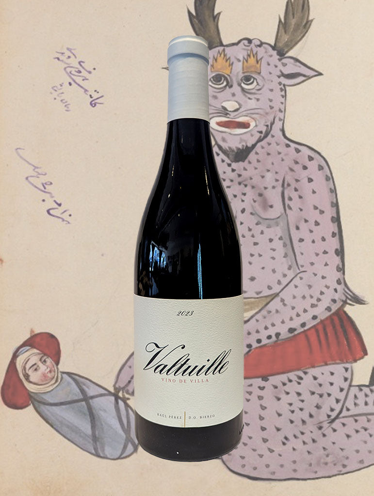 A bottle of Castro Ventosa 'Valtuille Vino de Villa' Bierzo 2024 from Leon, Spain