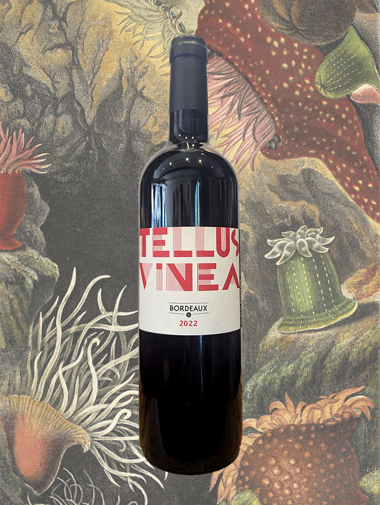 A bottle of Christophe Pueyo 'Tellus Vinea' Bordeaux 2022 from Bordeaux, France