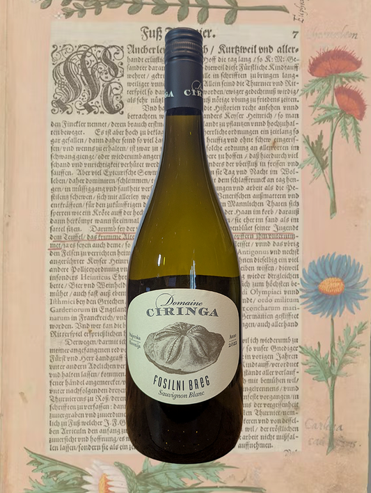 A bottle of Ciringa 'Fosilini Breg' Sauvignon Blanc 2022 from Maribor, Slovenia - A fresh, fruity, and mineral-driven Sauvignon Blanc from Slovenia. 