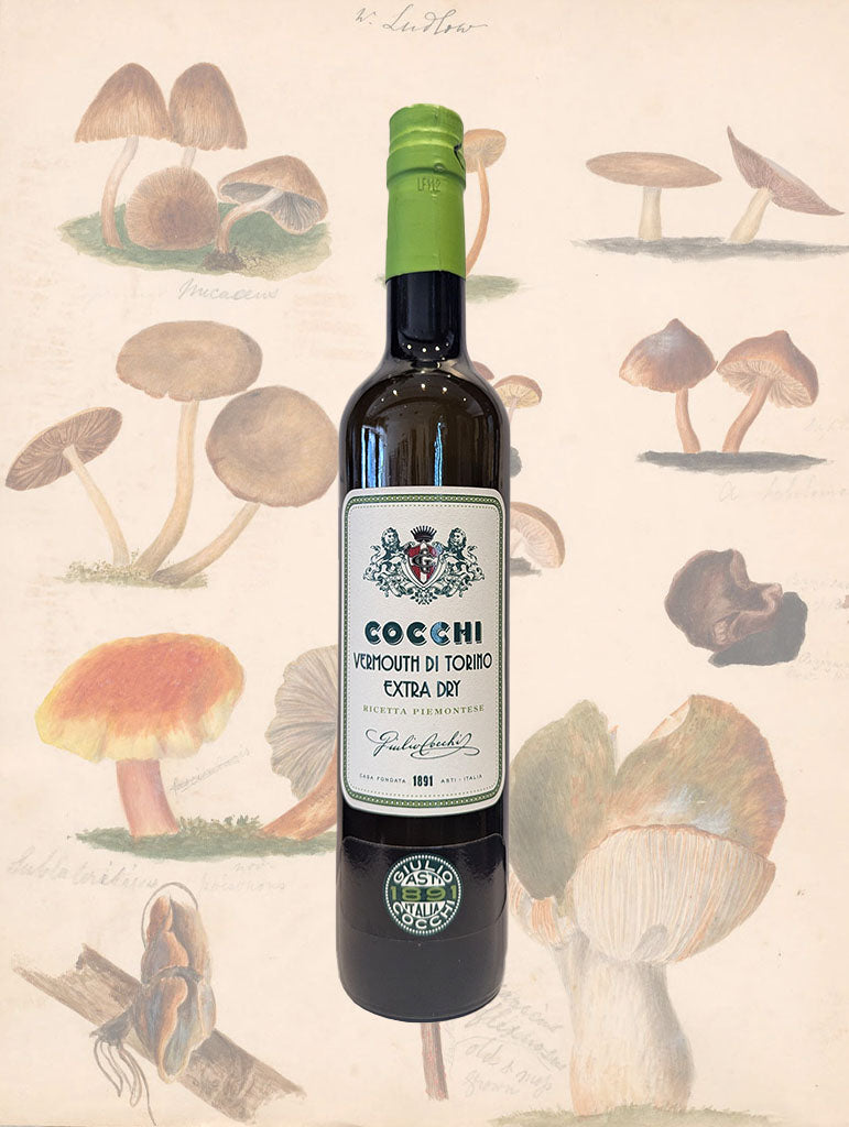 A bottle of Cocchi 'Vermouth di Torino Extra Dry' Vermouth from Piemonte, Italy