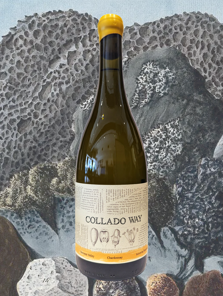 A bottle of Collado Way Chardonnay 2024 from Derwent Valley, TAS - A flavoursome and textural Chardonnay from south-west Tasmania.
