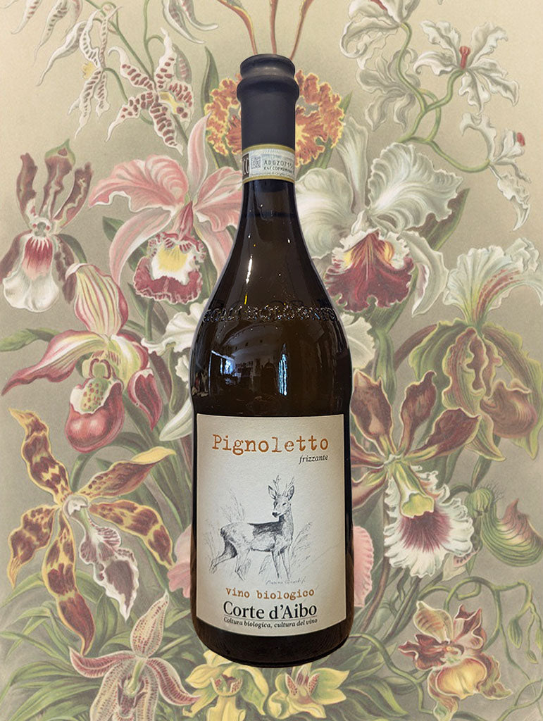 A bottle of Corte d'Aibo 'Frizzante' Colli Bolognesi Pignoletto 2024 from Emilia-Romagna, Italy