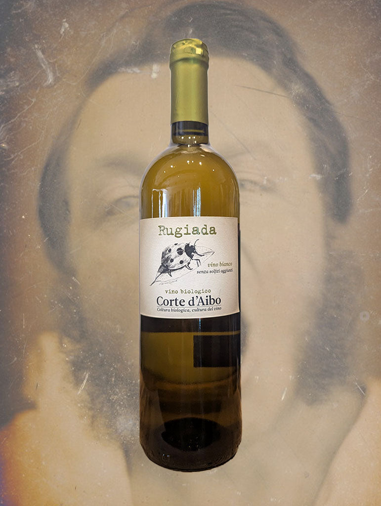 A bottle of Corte d'Aibo 'Rugiada' Bianco 2023 from Emilia-Romagna, Italy