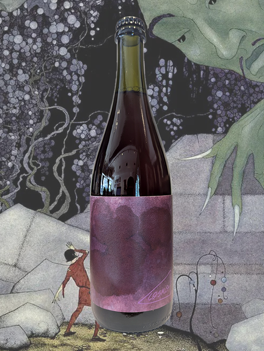 A bottle of Cosmo Plum Saison 2024 from Bathurst, NSW - Pours like a rich, bubbly pinot. Heaps on the nose, full plum flavour in the mouth and great with a steak in any month. We are very happy with this beer! 