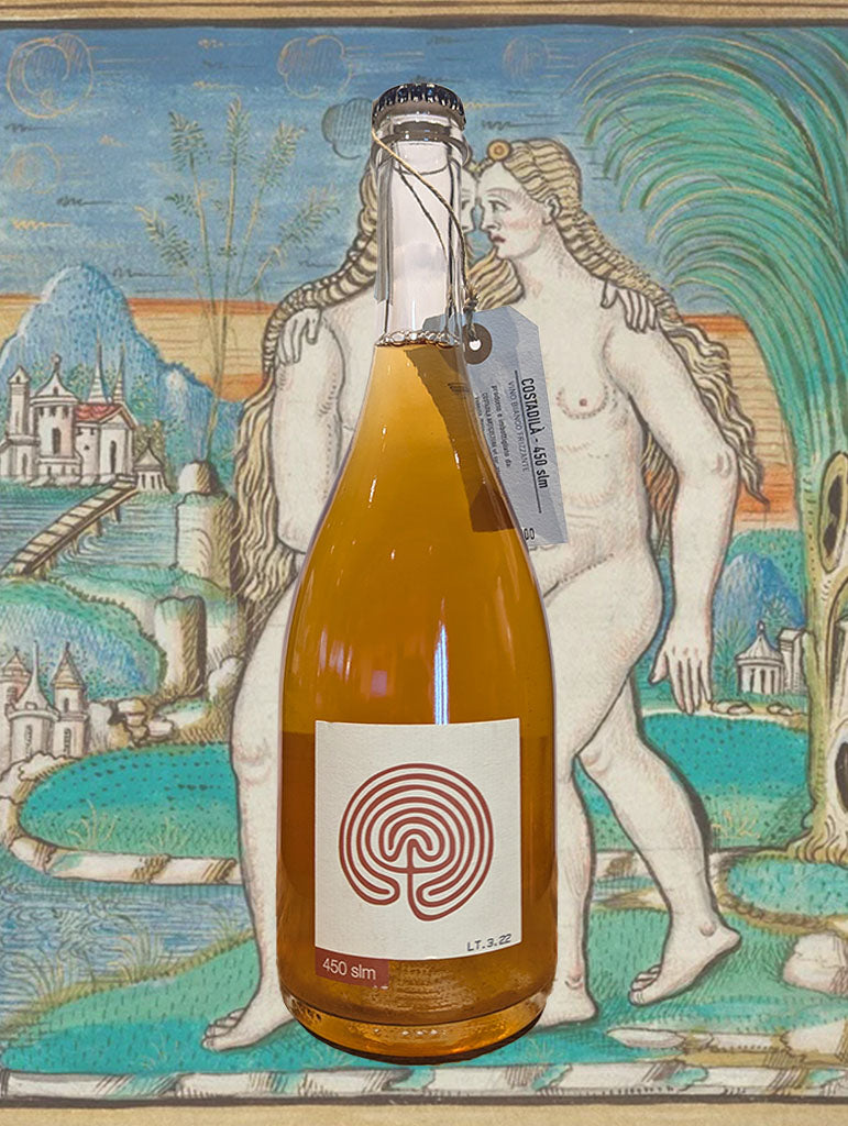 A bottle of Costadila '450 slm' Prosecco NV from Veneto, Italy