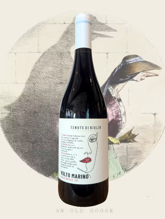 A bottle of Di Giulio 'Volto Marino' Rosso 2023 from Molise, Italy - A rich, fruit driven Montepulciano from Molise on Italy's southern Adriatic coast. 