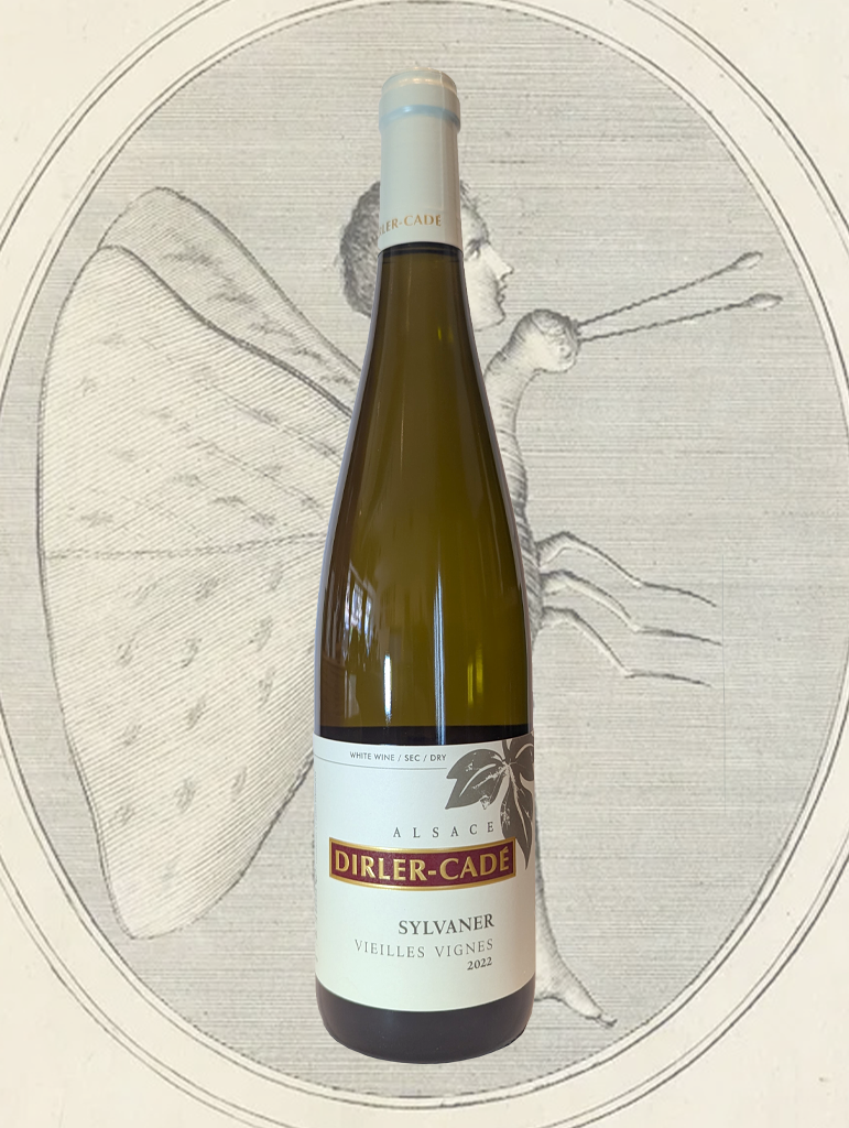 A bottle of Dirler-Cade Sylvaner 2022 from Alsace, France - Alsatian Sylvaner that's minerally pure, aromatically rich, and full of tension and energy.