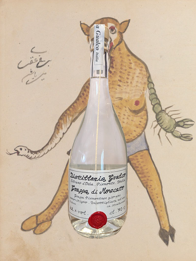 A bottle of Distilleria Gualco Grappa di Moscato from Piemonte, Italy