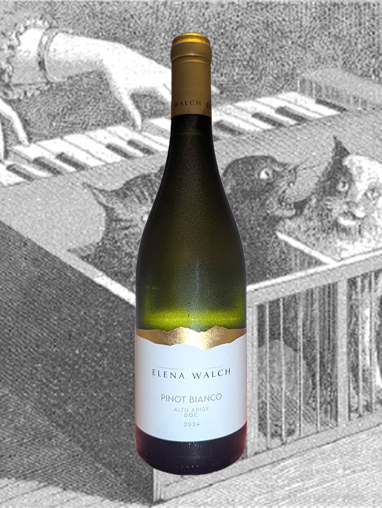 A bottle of Elana Walch Pinot Bianco 2024 from Alto Adige, Italy