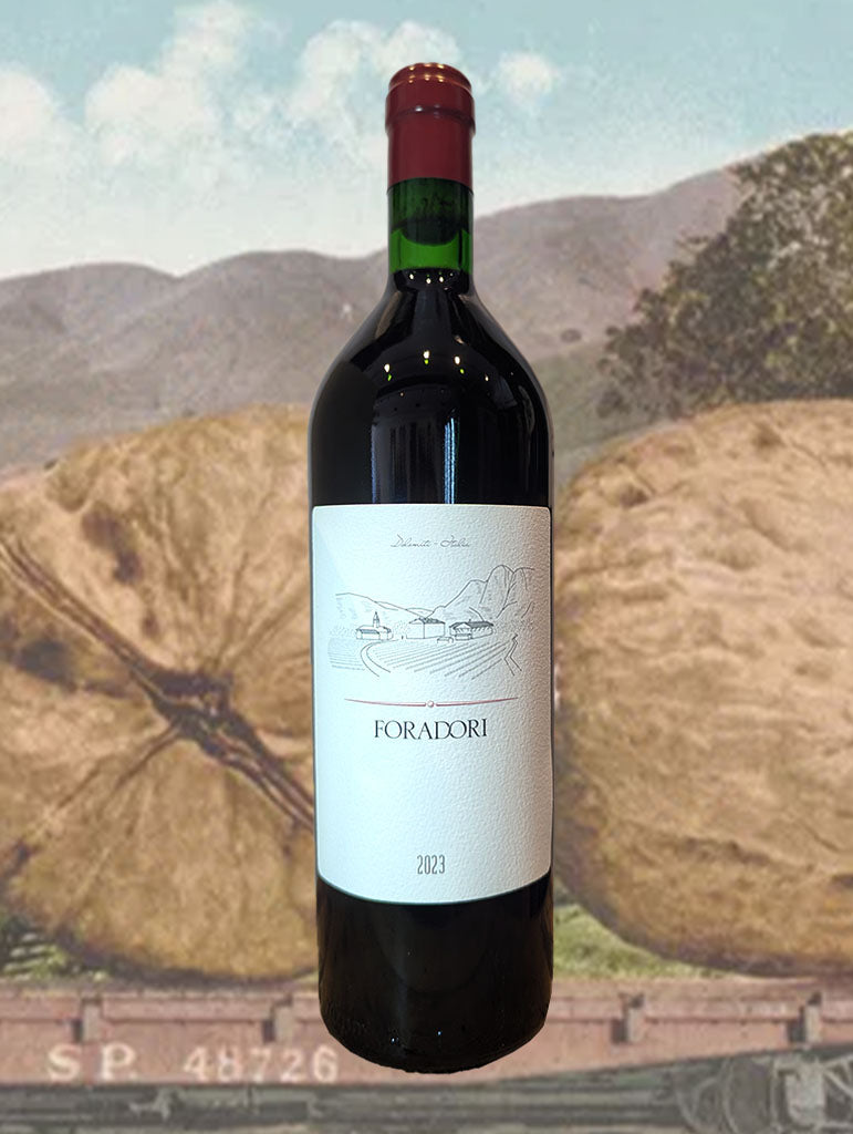 A bottle of Foradori Teroldego 2023 from Trentino, Italy