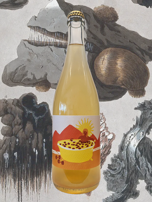 A bottle of Fusilli 'Garden' Cider 2025 from Tasmania - Juicy Tasmania apple cider made with Riesling grapes. 