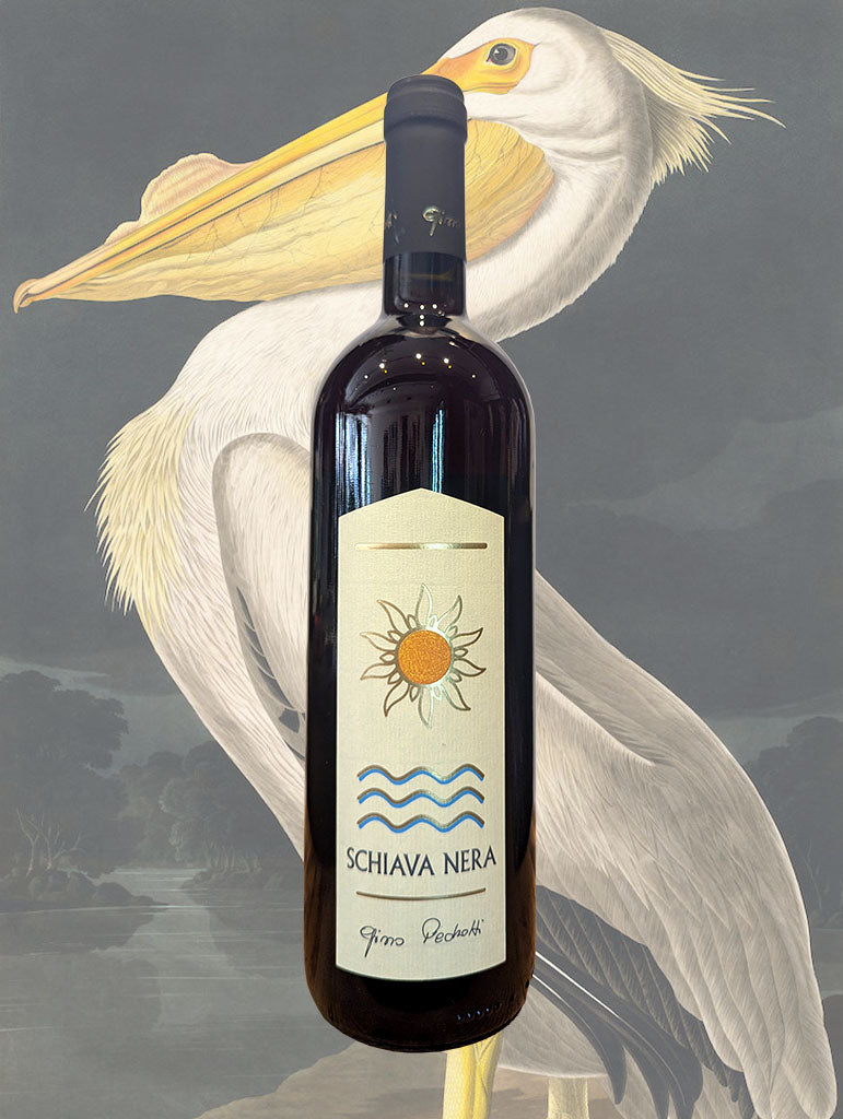 A bottle of Gino Pedrotti Schiava Nera 2024 from Trentino, Italy