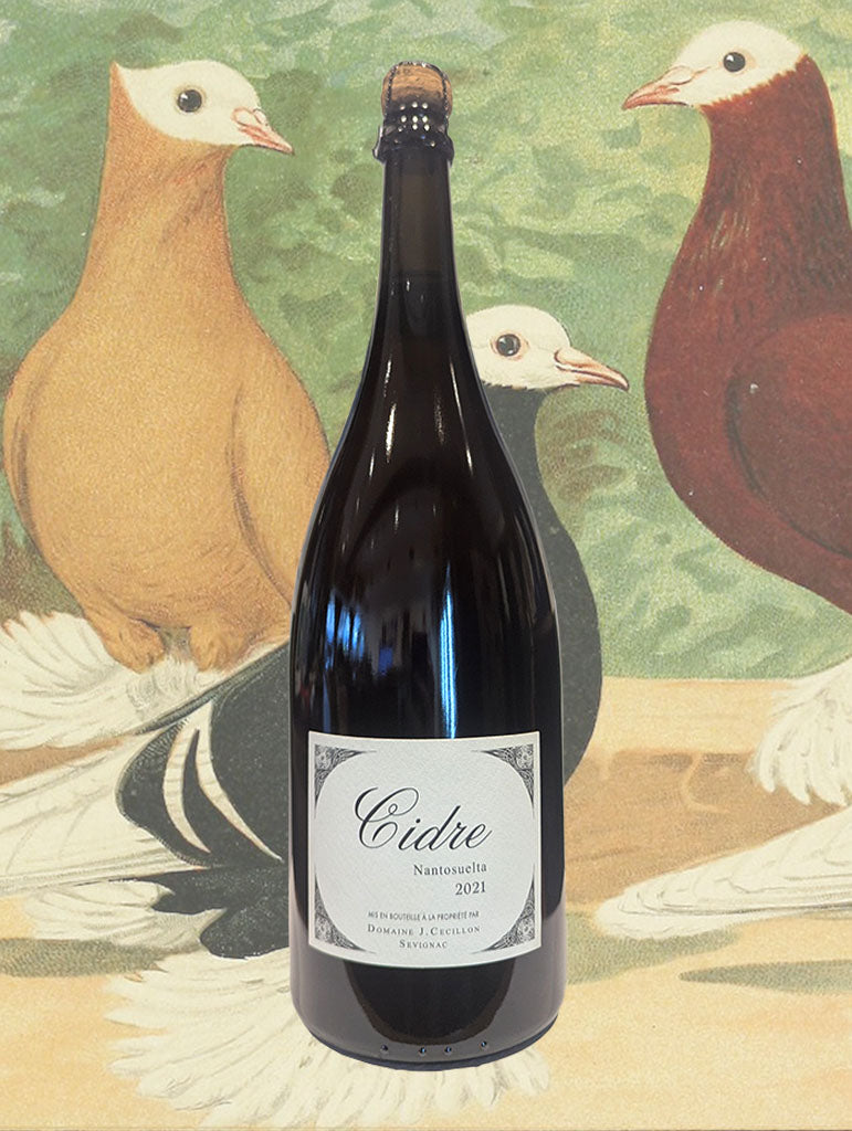 A bottle of Johanna Cecillon 'Nantosuelta' Cidre 2021 from Brittany, France (Magnum)