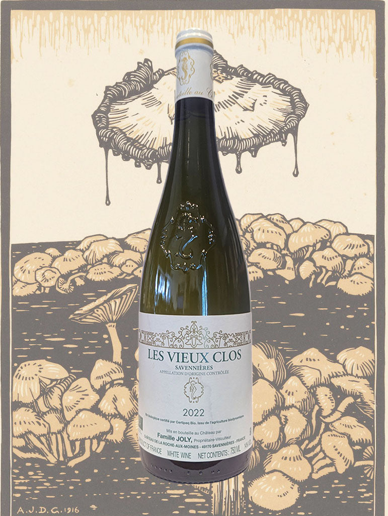 A bottle of Joly 'Les Vieux Clos' Savennières 2022 from Loire Valley, France