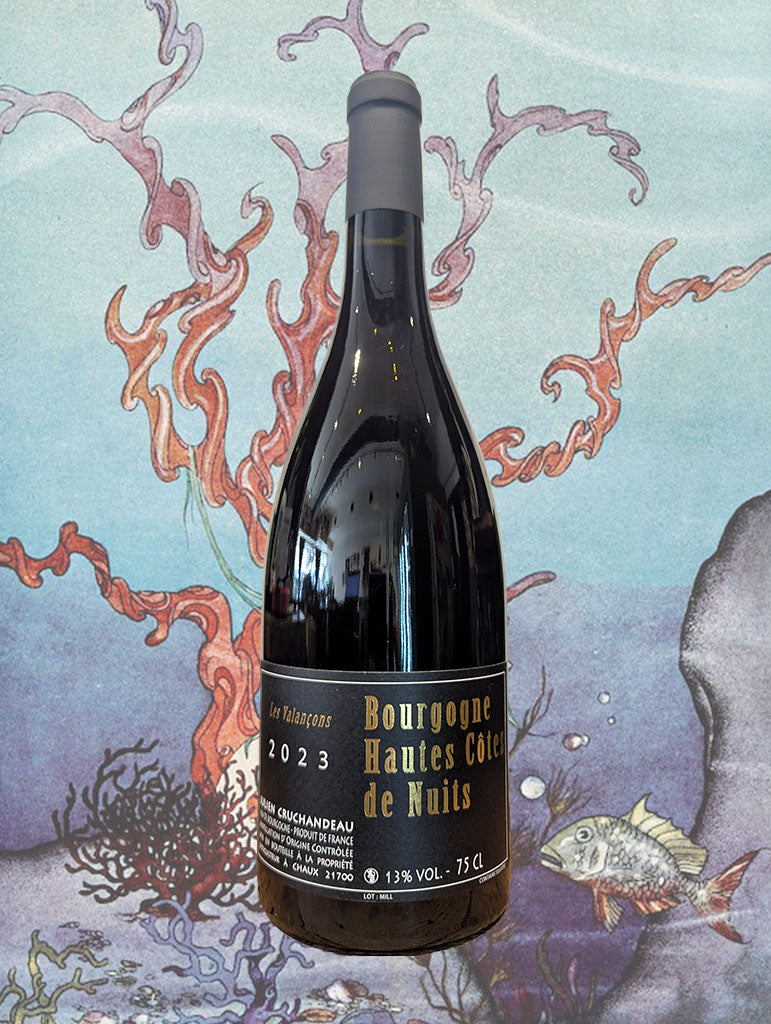 A bottle of Julien Cruchandeau 'Les Valancons' Bourgogne Hautes Cotes de Nuits 2023 from Burgundy, France