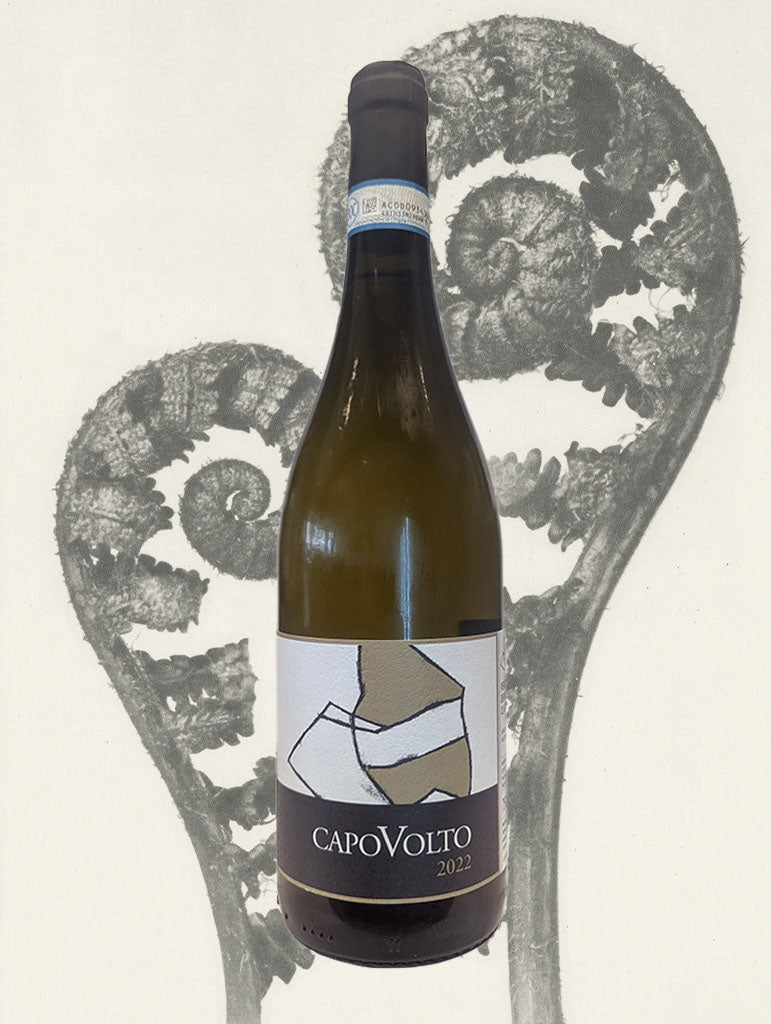 A bottle of La Marca di San Michele 'Capovolto' Verdicchio 2022 from Marche, Italy