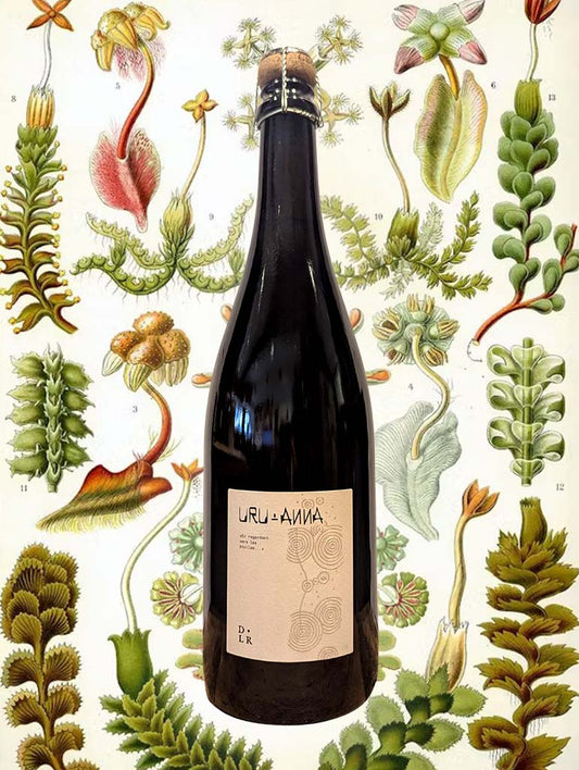 a bottle of La Reniere 'Ura-Anna' Blanc de Noir Brut Nature NV from Loire Valley, France - A Champagne style sparkling wine from Anjou in the Loire Valley, made from Cab Franc. 
