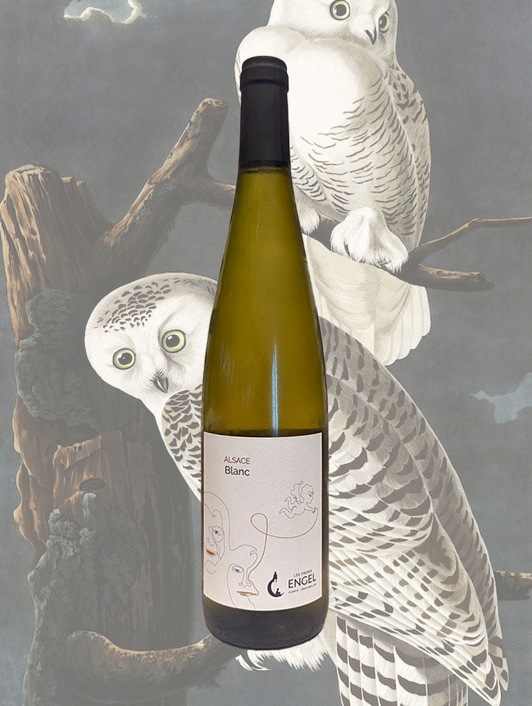A bottle of Les Freres Engel Alsace Blanc 2023 from Alsace, France