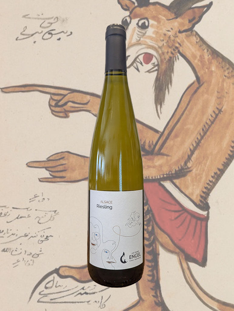 A bottle of Les Freres Engel Riesling 2024 from Alsace, France