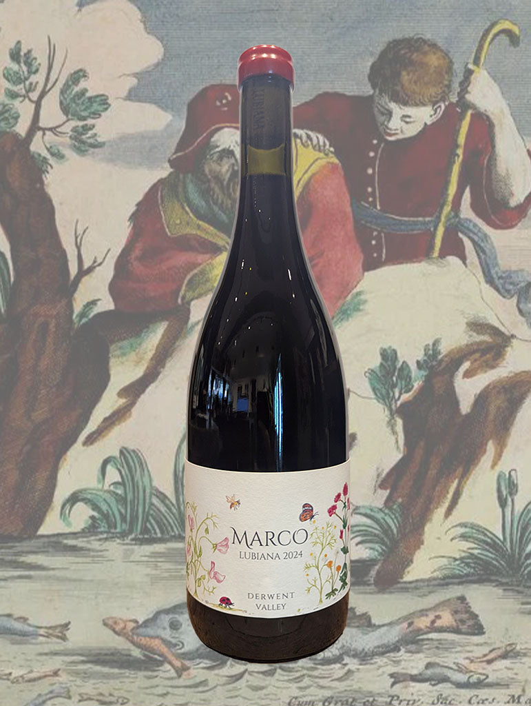A bottle of Marco Lubiana Pinot Noir 2024 from Derwent Valley, Tasmania