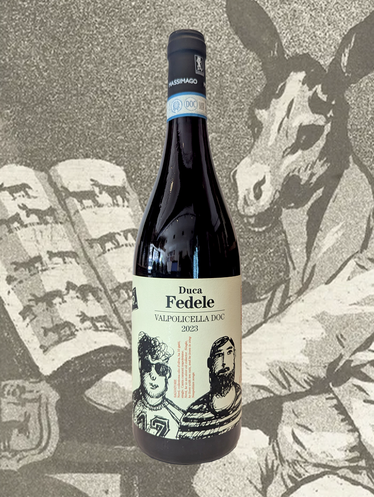 A bottle of Massimago ‘Duca Fedele’ Valpolicella 2023 from Veneto, Italy - Bright and aromatic red from Valpolicella! 