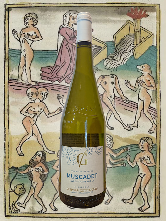 A bottle of Menard-Gaborit 'Accostage' Muscadet Sèvre-et-Maine 2020 from Loire Valley, France - It's fresh and floral, with citrus, orchard fruits and a moreish salty finish. Supremely balanced and elegant example of Muscadet. 
