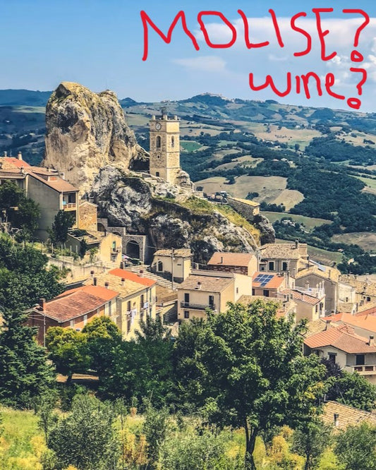 Molise & Central Italy | Wine Tasting, Fri 15th AUG