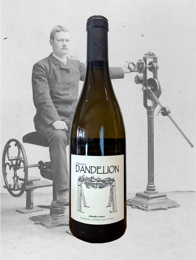 A bottle of Nanclares y Prieto 'Dandelion' Albarino 2023 from Rias Baixas, Spain