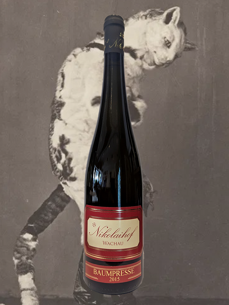 A bottle of Nikolaihof 'Baumpresse' Riesling 2015 from Wachau, Austria