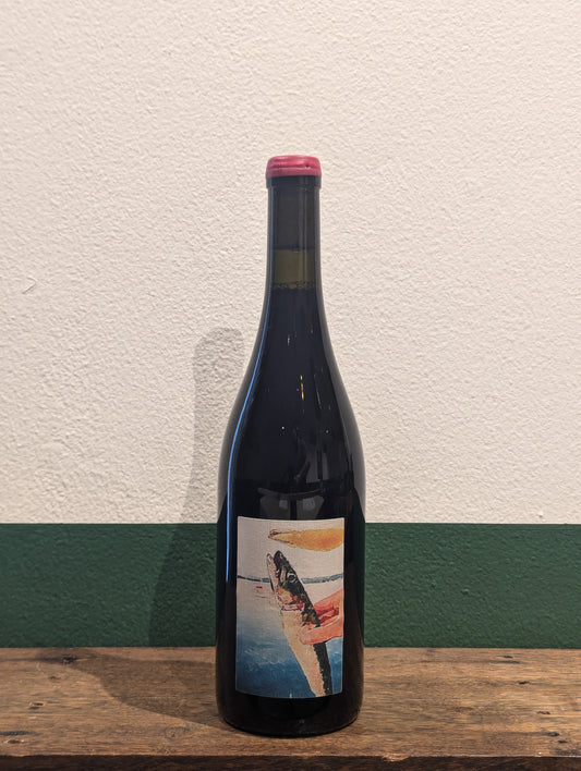 Bon Pas 'Choisir c’est Renoncer' Gamay 2022 | Beaujolais, France