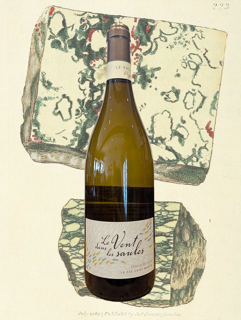A bottle of Pas Saint Martin 'Le Vent dans les Saules' Anjou Blanc 2024 from Loire Valley, France