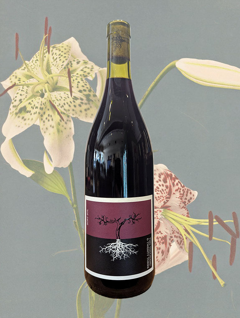 A bottle of Poppelvej 'Sort Sol' Cabernet Franc 2023 from McLaren Vale