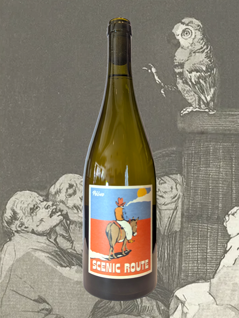 A bottle of Pozno 'Scenic Route' Skin Contact 2025 from Adelaide Hills, SA - Energetic and skinsy Sauvignon Blanc from the Adelaide Hills. 
