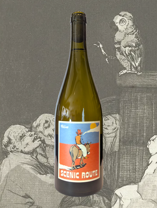A bottle of Pozno 'Scenic Route' Skin Contact 2025 from Adelaide Hills, SA - Energetic and skinsy Sauvignon Blanc from the Adelaide Hills. 